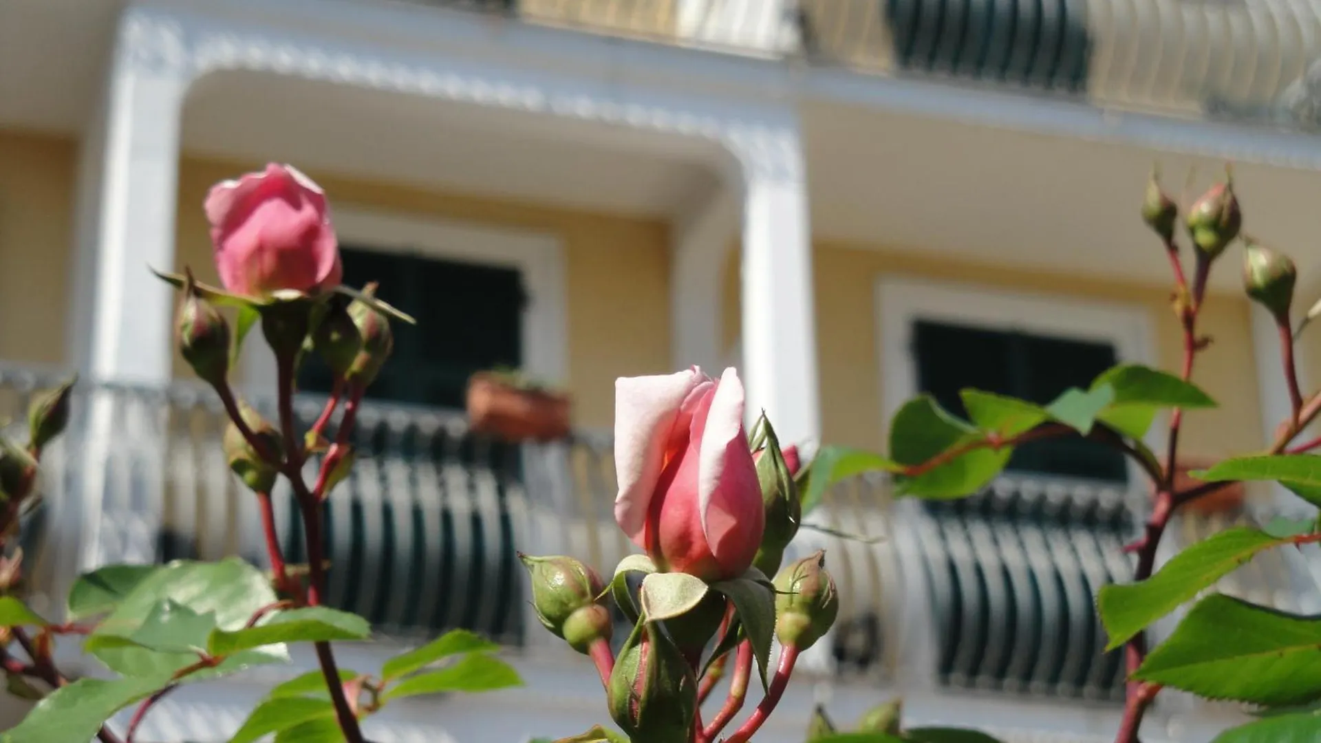 Hotel Miranda Varazze Włochy